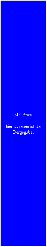 Textfeld: MB Brasil
hier zu sehen ist die Bergegabel
